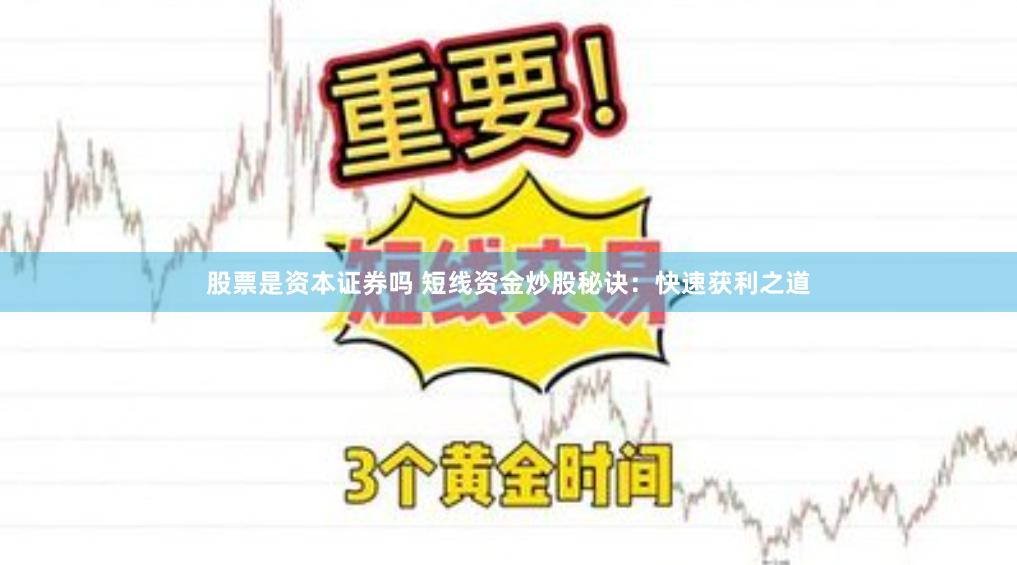 股票是资本证券吗 短线资金炒股秘诀：快速获利之道