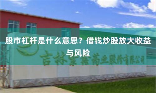 股市杠杆是什么意思?借钱炒股放大收益与风险