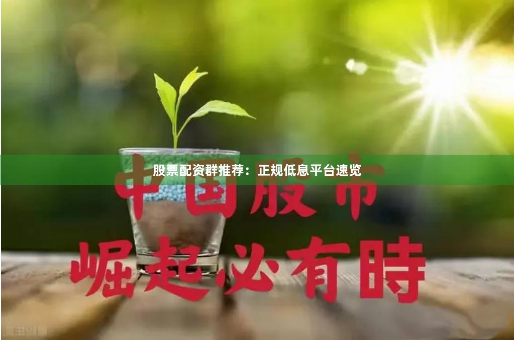 股票配资群推荐：正规低息平台速览