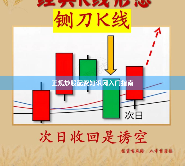 正规炒股配资知识网入门指南